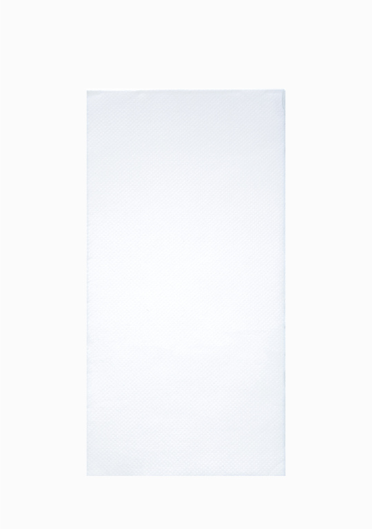 Servilletas De Papel Doble Hoja 30x40 cm (Precios de Importación Por Caja)