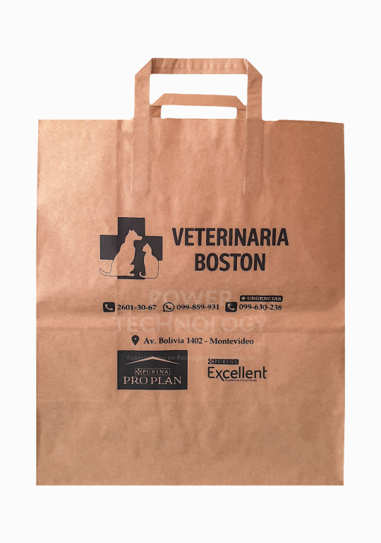 Bolsas De Papel Impresas Con Asas Grandes